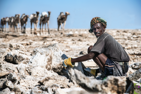 Piana-del-sale-tagliatore-di-sale-Dancalia-Etiopia.png