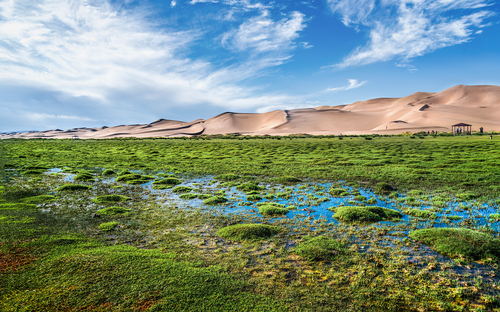 Deserto-del-Gobi-Mongolia.png